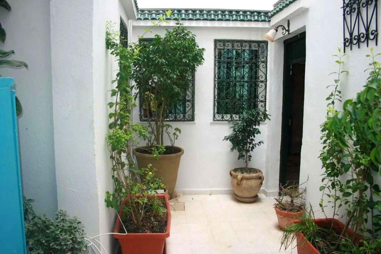 Charming Apartment In Central Tunis With Terrace Εξωτερικό φωτογραφία